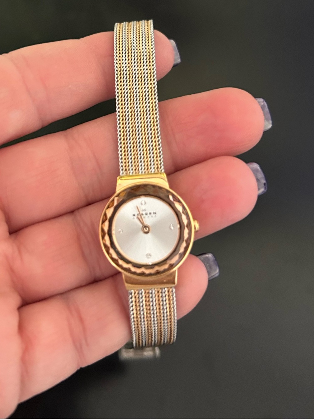 Skagen Two-Tone Gold and Silver Mesh Women's Watch